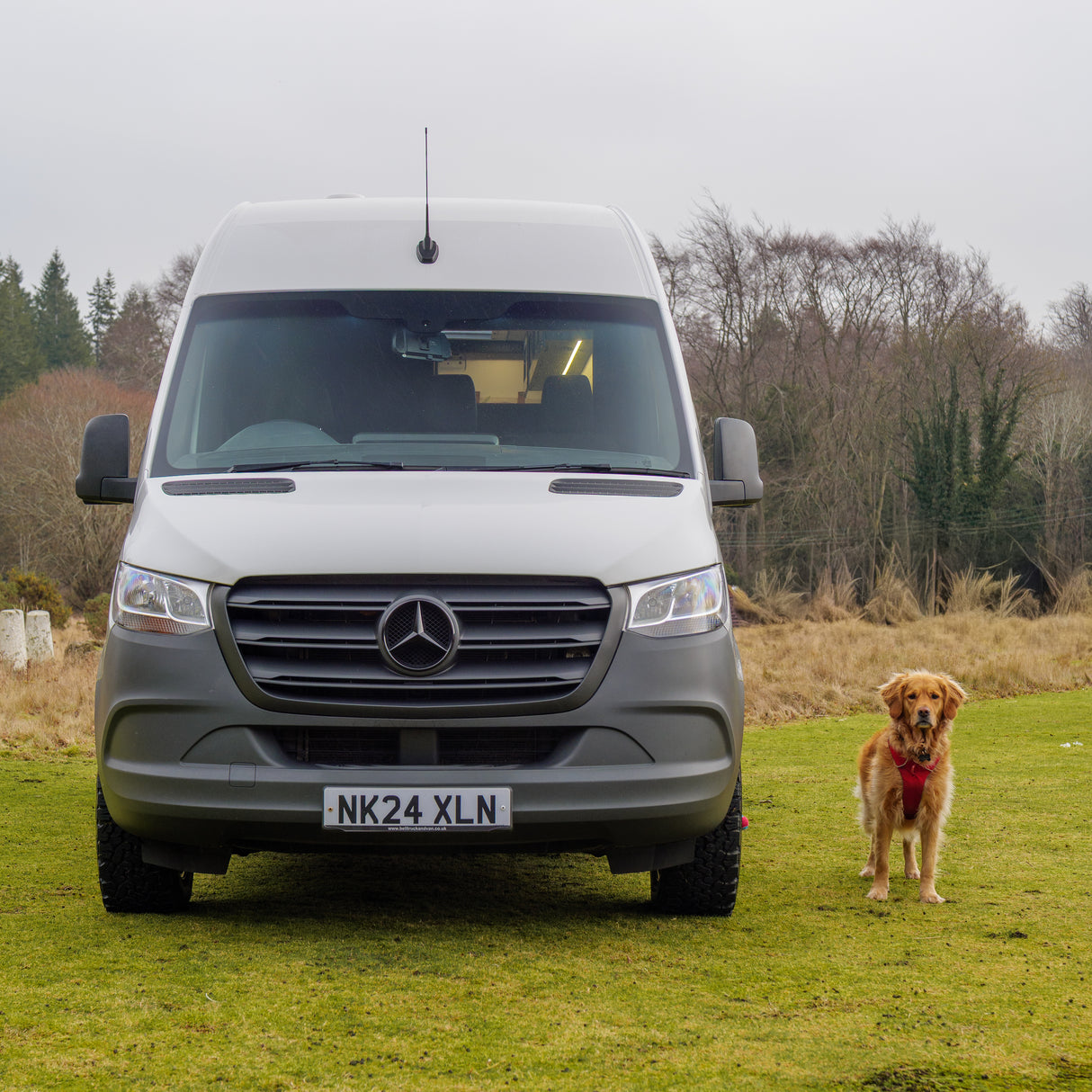 Emma - 4 Berth Automatic Luxury Campervan