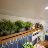 Emma - 4 Berth Automatic Luxury Campervan