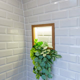 Emma - 4 Berth Automatic Luxury Campervan