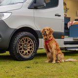 Emma - 4 Berth Automatic Luxury Campervan