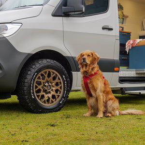 Emma - 4 Berth Automatic Luxury Campervan