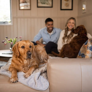 2-Night Luxury Stay for Two at Galgorm